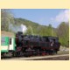 Parn lokomotiva 433.002 ve stanici Lipov Lzn