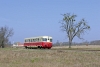 lokalky_15