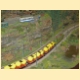 prerov_21.jpg